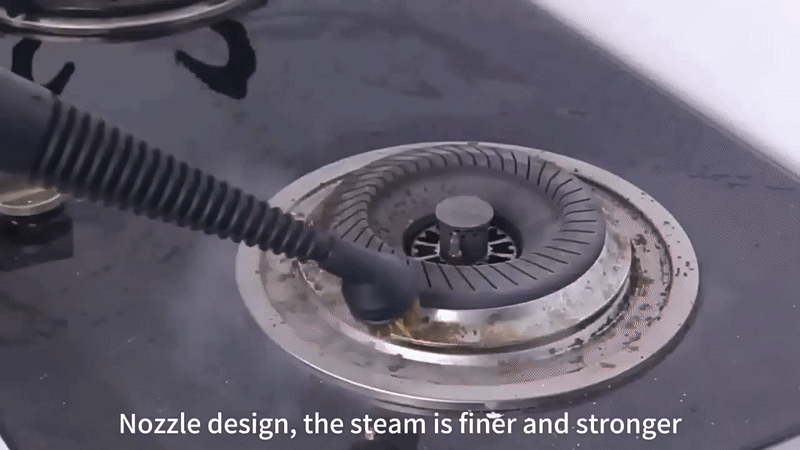 DF - Steam Cleaner