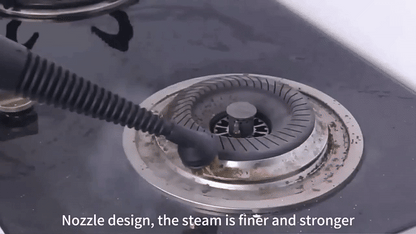 DF - Steam Cleaner