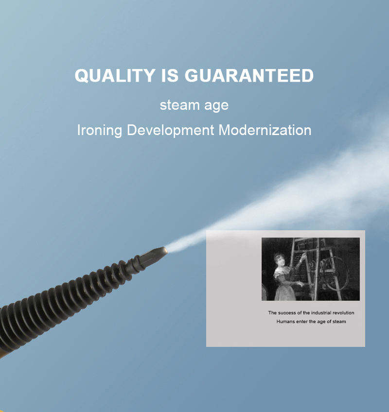 DF - Steam Cleaner
